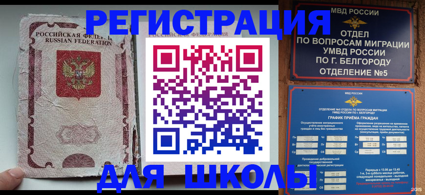 прописка гарантия в Звенигороде